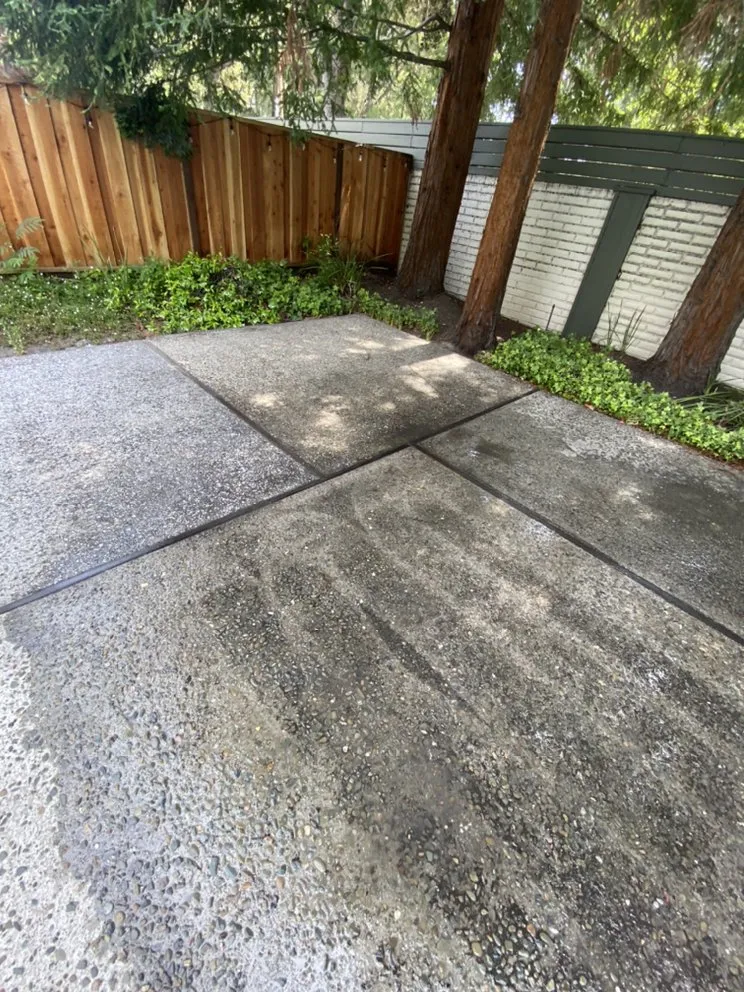 Affordable yard cleanup service for residential properties in San Jose, CA by Jay's Outdoor Cleaning