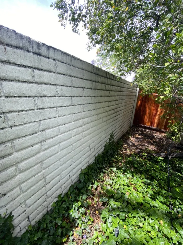 Affordable lawn care service for year-round maintenance across San Jose, CA - Jay's Outdoor Cleaning