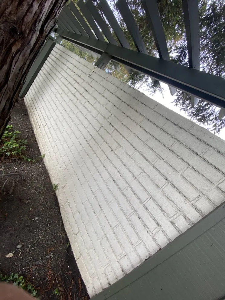 Affordable yard cleanup service in San Jose, CA by Jay's Outdoor Cleaning