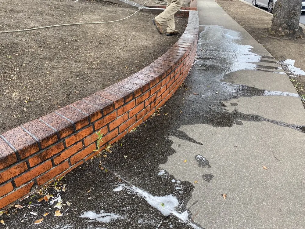 Affordable yard cleanup service in San Jose, CA by Jay's Outdoor Cleaning