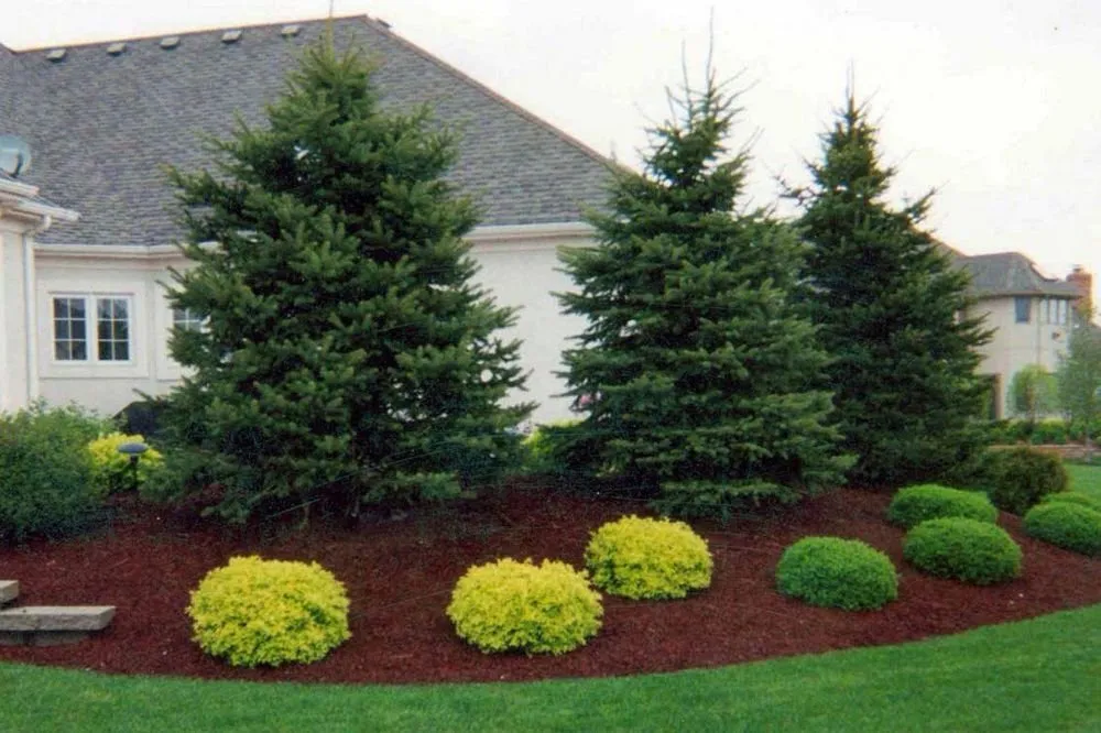 Trusted lawn care service for beautiful yards across Clarkston, MI - Jays Quality Landscape