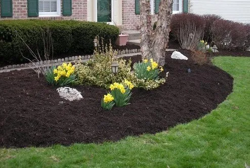 Affordable landscape design in Leonard, MI - Jays Quality Landscape