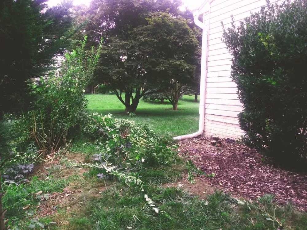 Professional yard maintenance for year-round maintenance across Gaithersburg, MD - Jay's Services