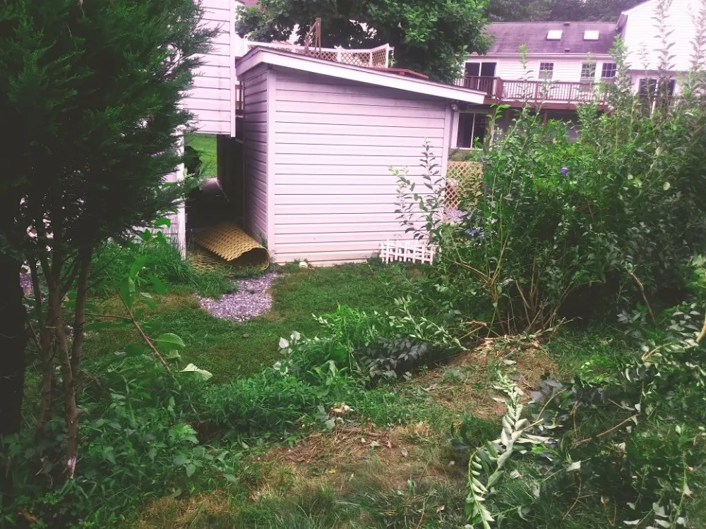 Trusted landscape installation experts serving Gaithersburg, MD - Jay's Services