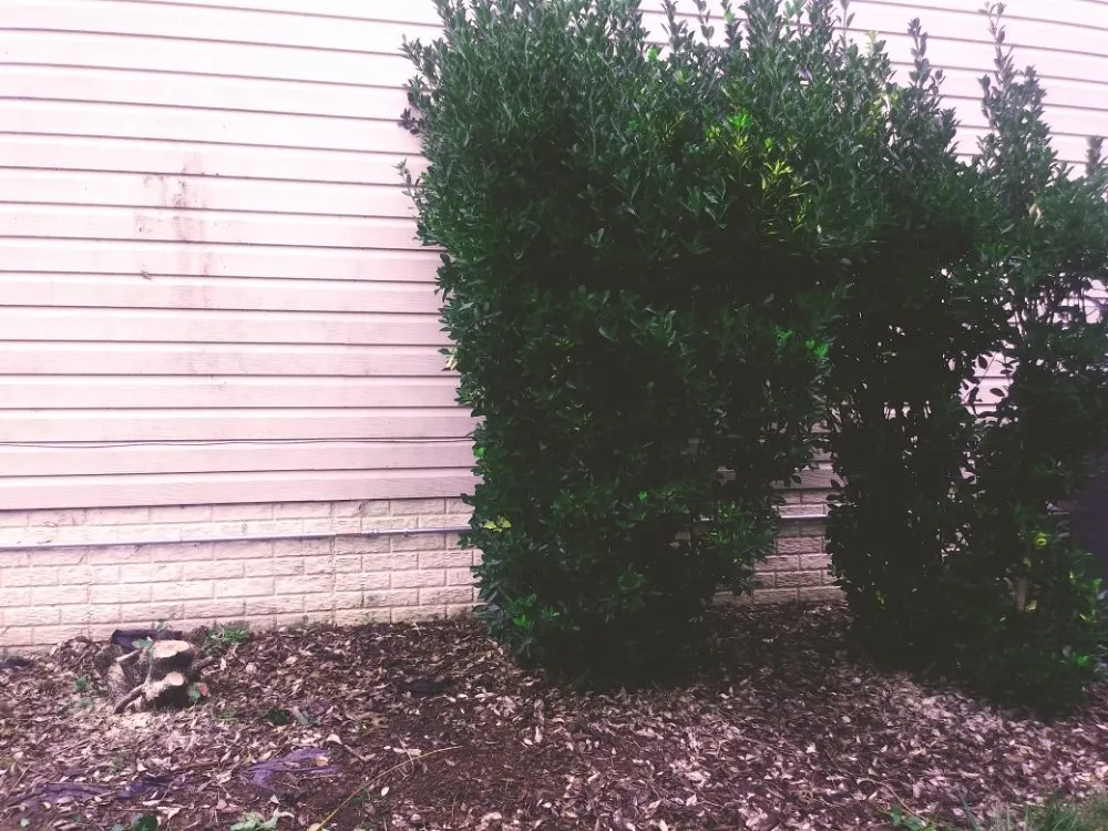 Affordable residential landscaping in Gaithersburg, MD by Jay's Services