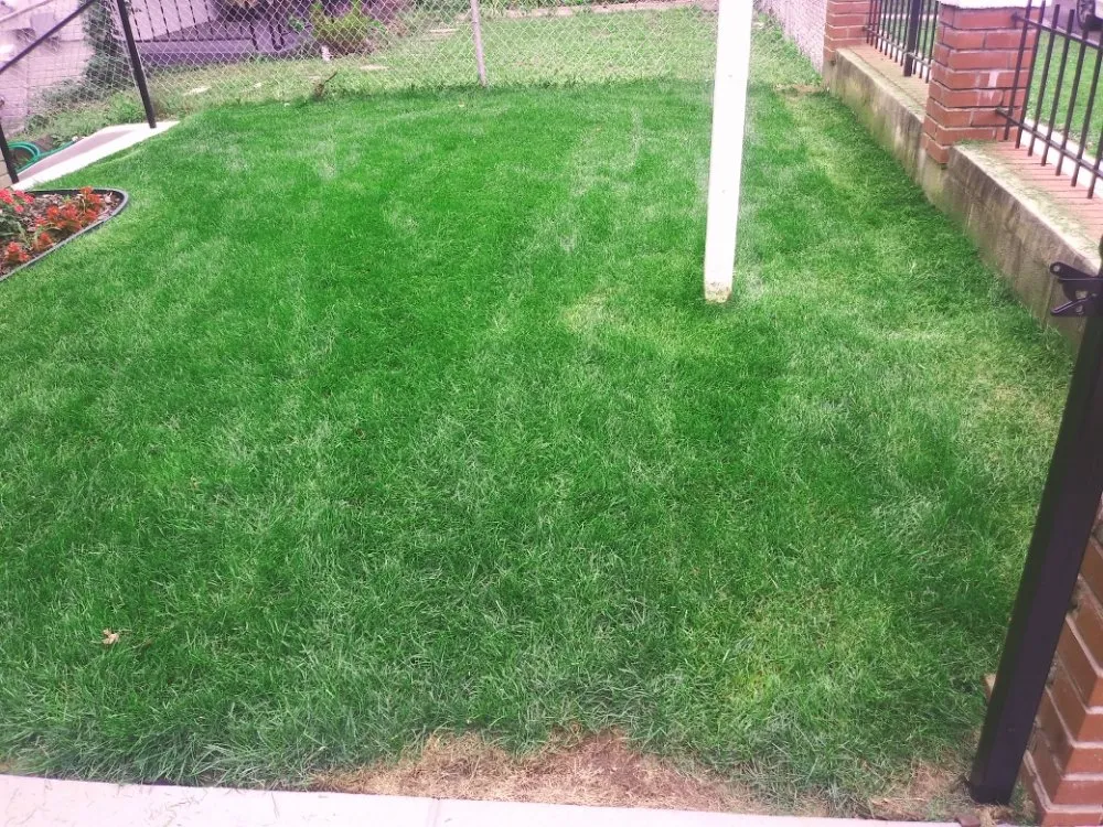 Affordable landscape design in Gaithersburg, MD by Jay's Services