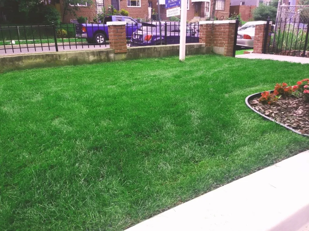 Professional residential landscaping experts serving Gaithersburg, MD - Jay's Services