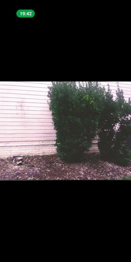 Custom outdoor landscaping near you across Gaithersburg, MD - Jay's Services