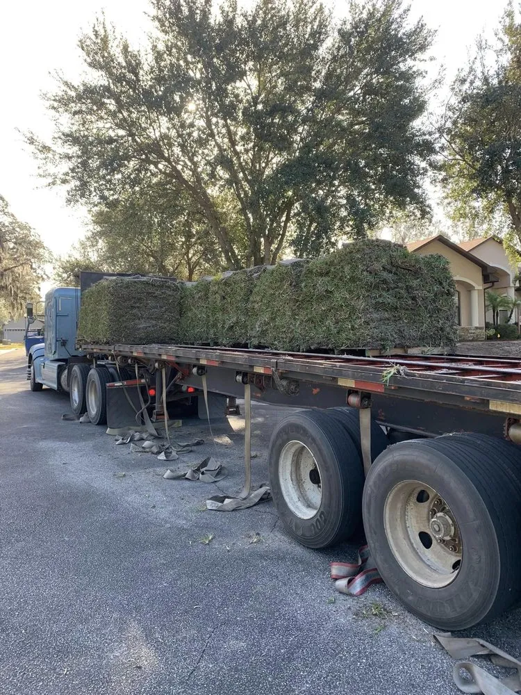 Top-rated yard maintenance in St. Cloud, FL - Jays Sod & Landscape