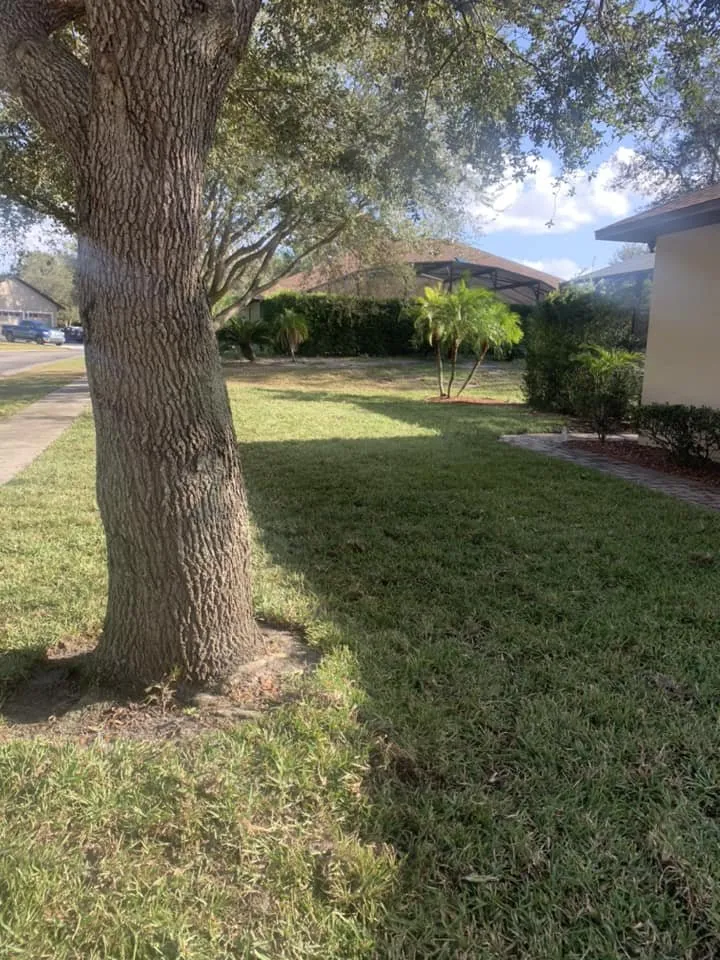 Reliable yard cleanup service in St. Cloud, FL by Jays Sod & Landscape