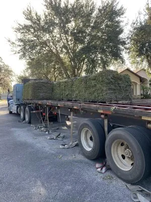 Jays Sod & Landscape Logo