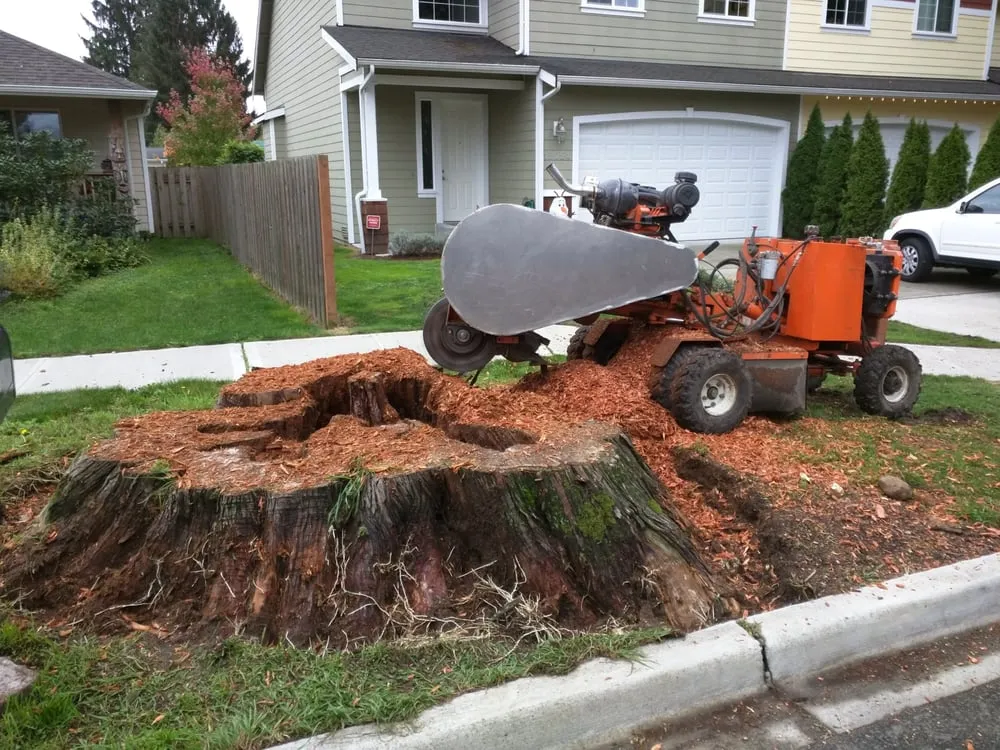 Affordable residential landscaping in Bellevue, WA by Jay's Stump Grinding