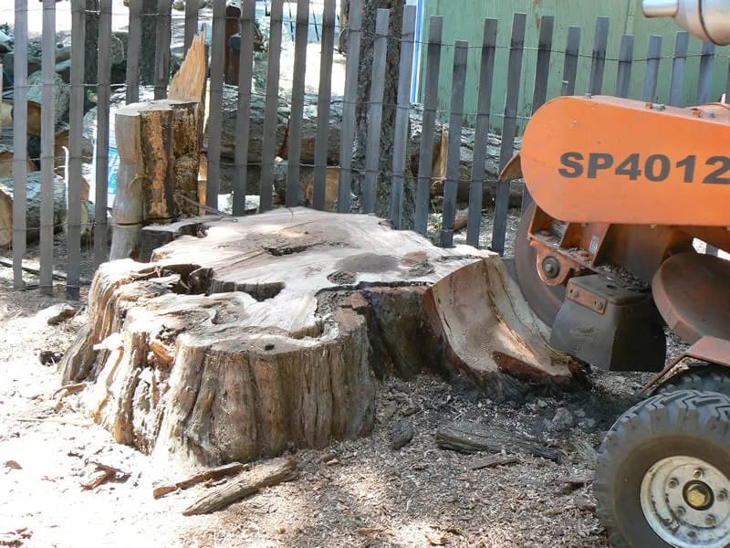 Local lawn mowing service for homes across Bellevue, WA - Jay's Stump Grinding