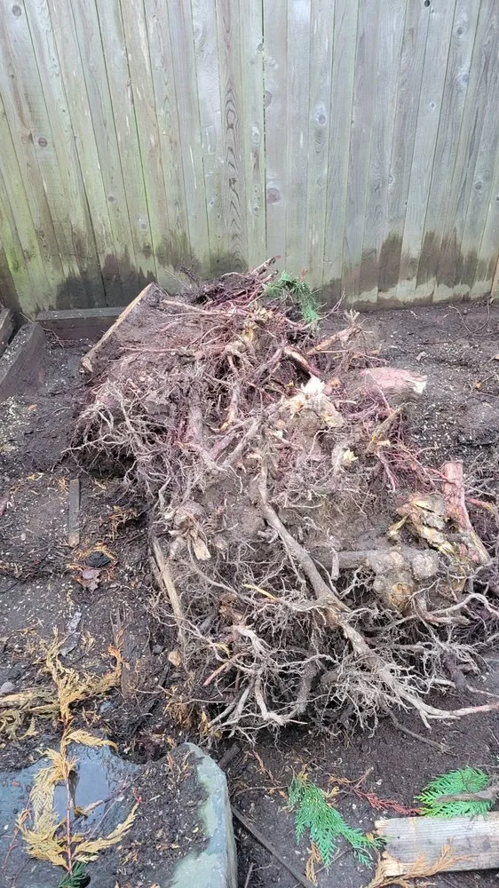 Top-rated outdoor landscaping experts serving Bellevue, WA - Jay's Stump Grinding