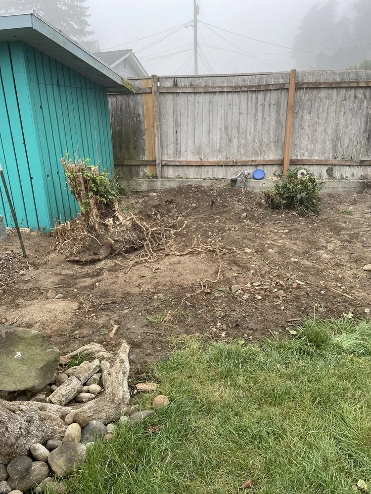 Professional outdoor landscaping for year-round maintenance across Bellevue, WA - Jay's Stump Grinding