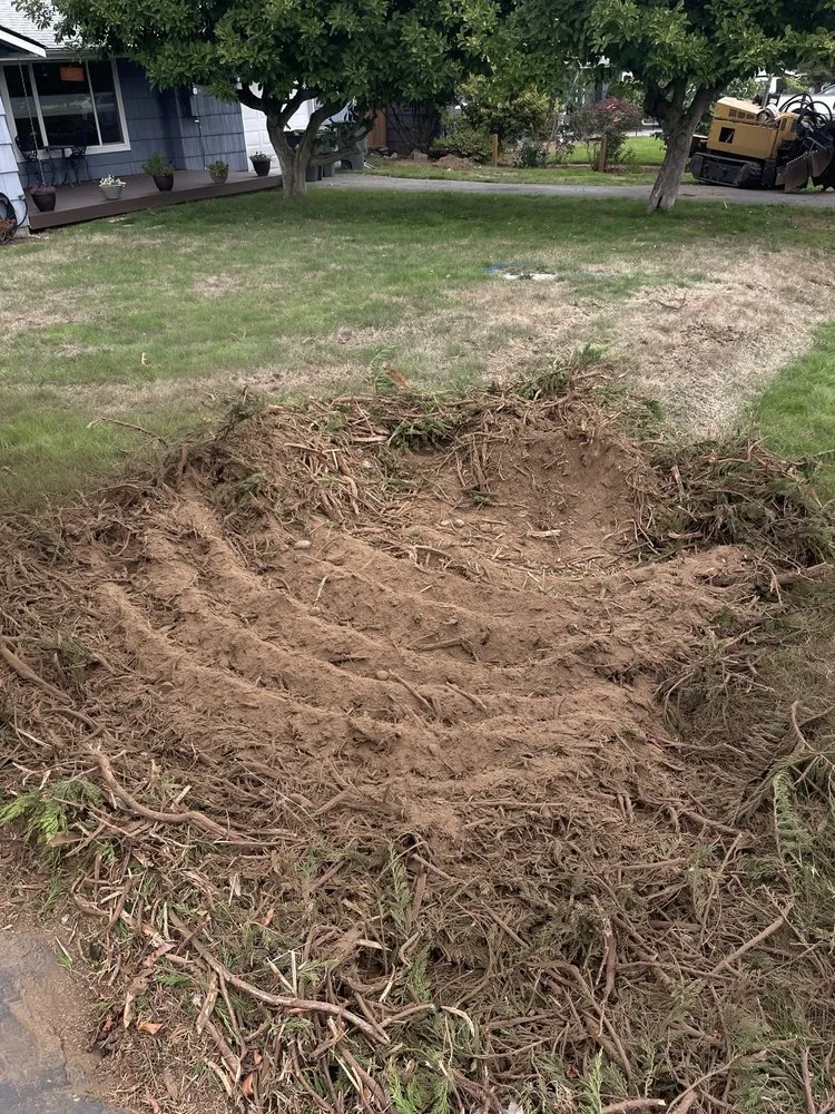 Expert residential landscaping experts serving Bellevue, WA - Jay's Stump Grinding