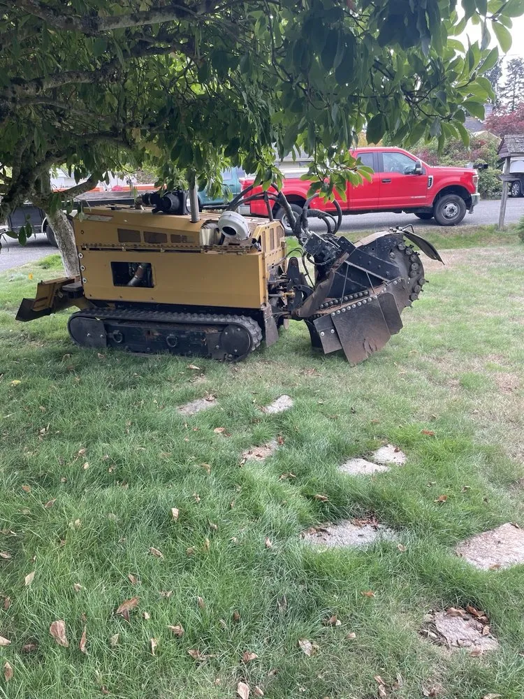 Local yard cleanup service in Bellevue, WA by Jay's Stump Grinding