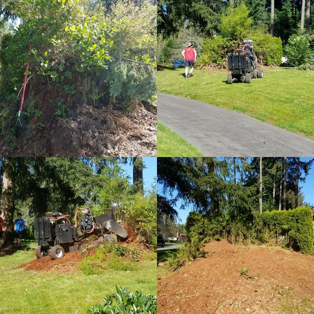 Local landscape design in Bellevue, WA by Jay's Stump Grinding