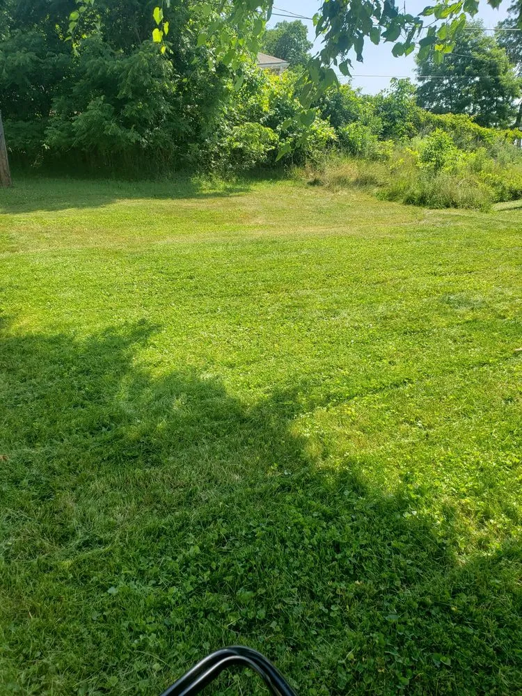 Expert residential landscaping near you across South Heights, PA - Jay's Task Force