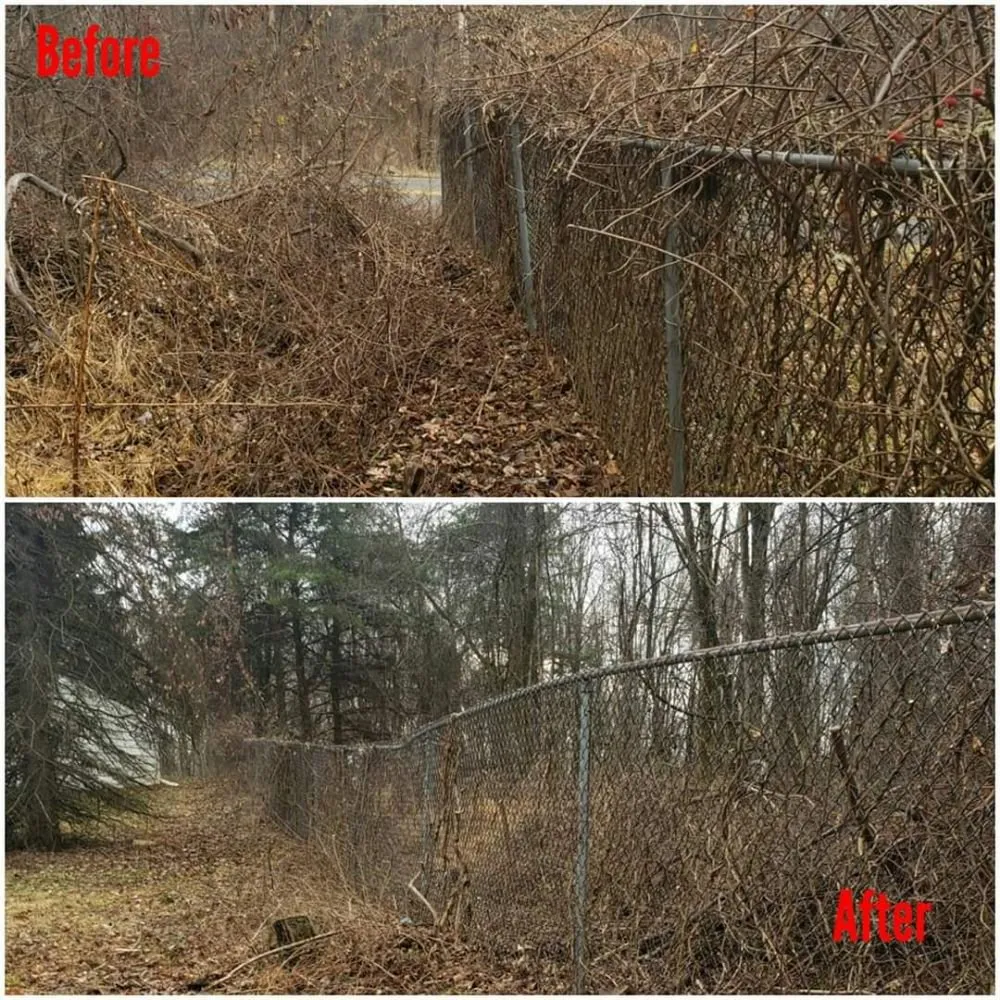 Local lawn care service for beautiful yards in South Heights, PA by Jay's Task Force