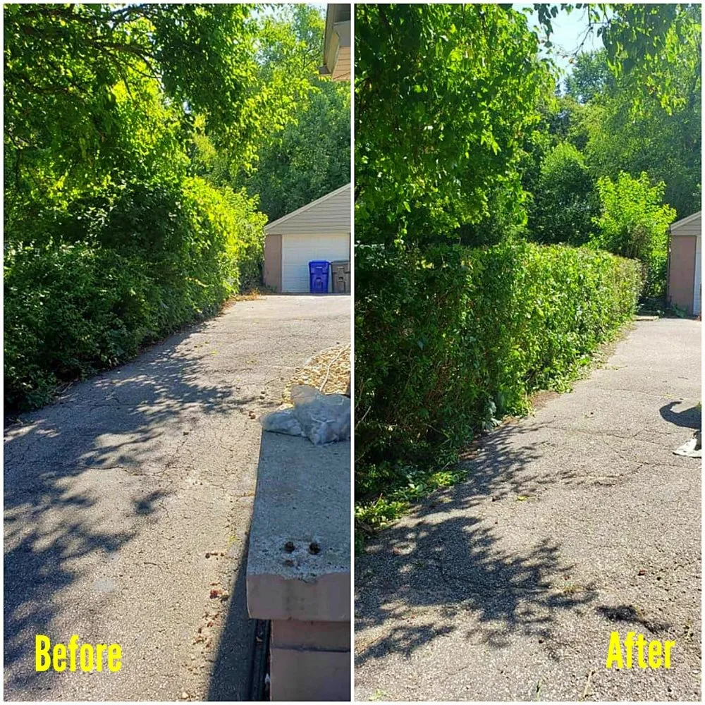 Professional yard maintenance for homes in South Heights, PA by Jay's Task Force