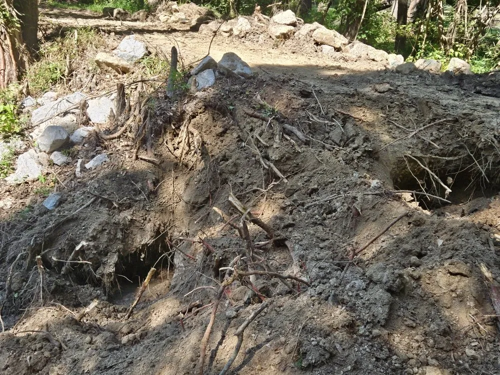 Expert lawn care service experts serving Byhalia, MS - Jay's tractor and lawn