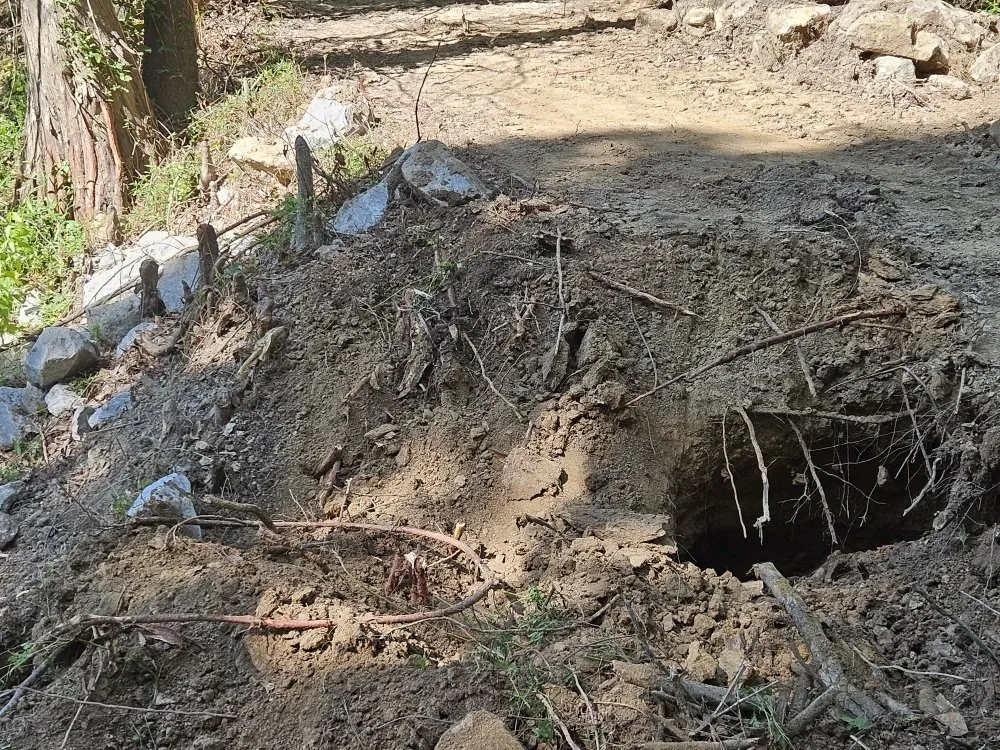 Trusted lawn mowing service for homes in Byhalia, MS by Jay's tractor and lawn