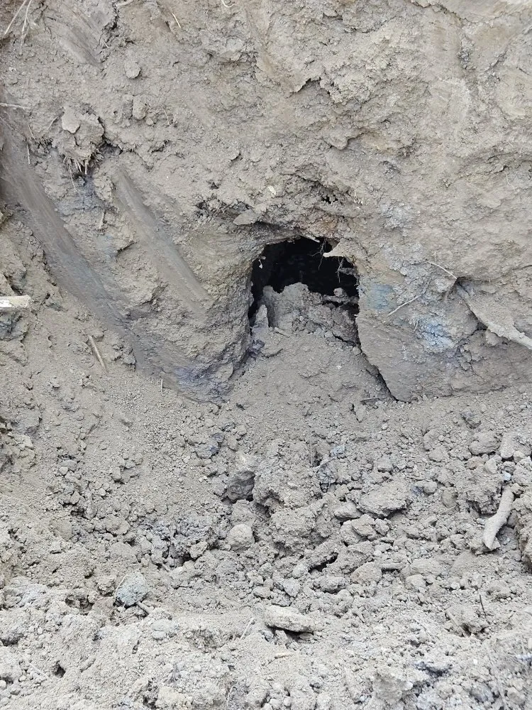 Reliable residential landscaping for homes in Byhalia, MS by Jay's tractor and lawn