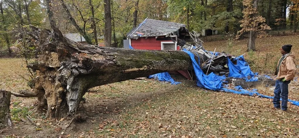 Local lawn mowing service in Byhalia, MS by Jay's tractor and lawn