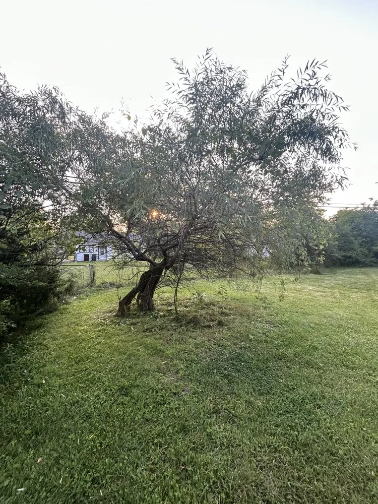 Professional landscaping services in Dayton, OH - Jay’s Transformations