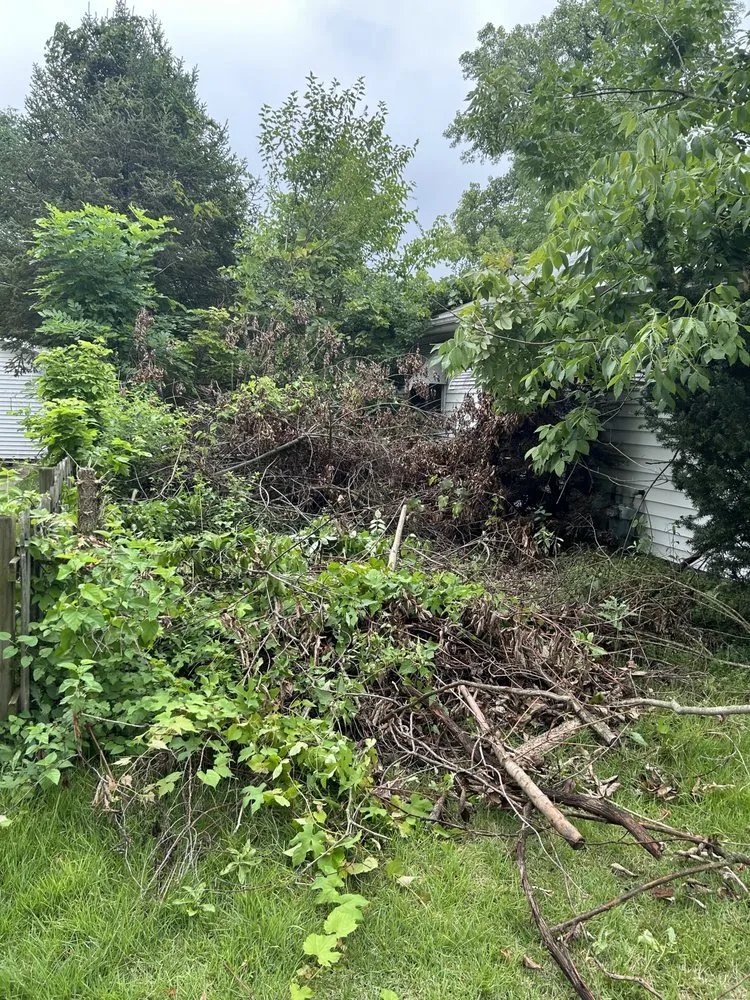 Expert yard cleanup service in Dayton, OH - Jay’s Transformations