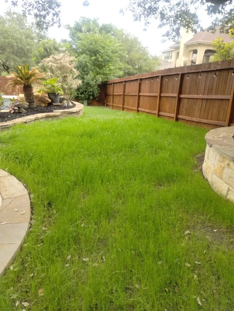 Affordable lawn care service with custom design in San Antonio, TX by Jay's Tree & Lawn Service