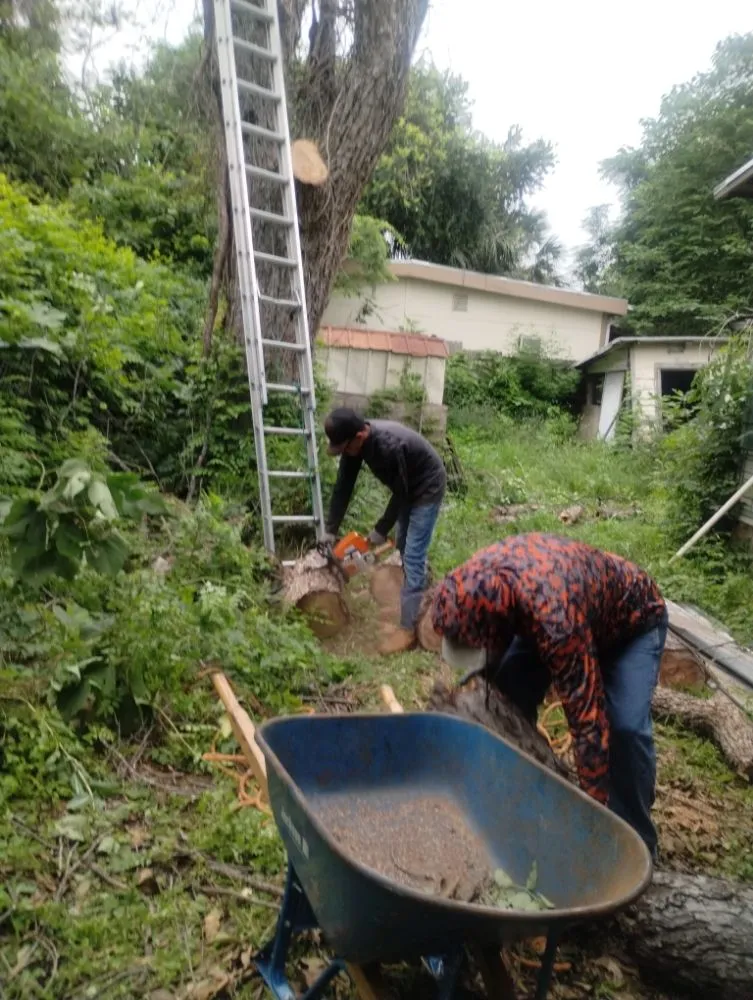 Trusted landscape installation for beautiful yards across San Antonio, TX - Jay's Tree & Lawn Service