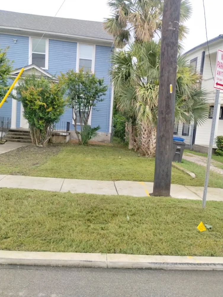 Local yard cleanup service experts serving San Antonio, TX - Jay's Tree & Lawn Service