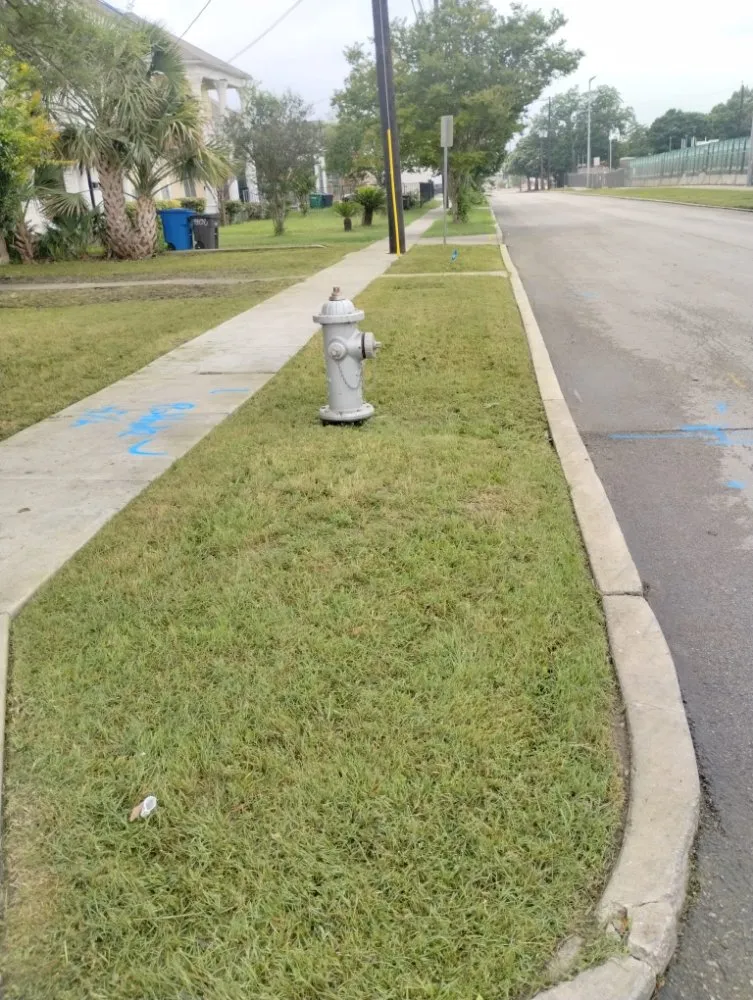 Expert residential landscaping in San Antonio, TX by Jay's Tree & Lawn Service