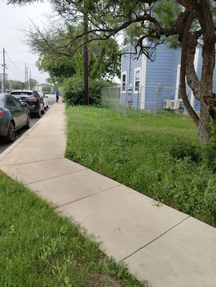 Trusted landscape design for outdoor upgrades across San Antonio, TX - Jay's Tree & Lawn Service