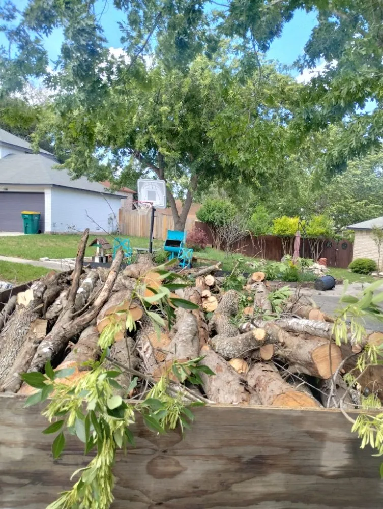 Expert lawn mowing service near you across San Antonio, TX - Jay's Tree & Lawn Service