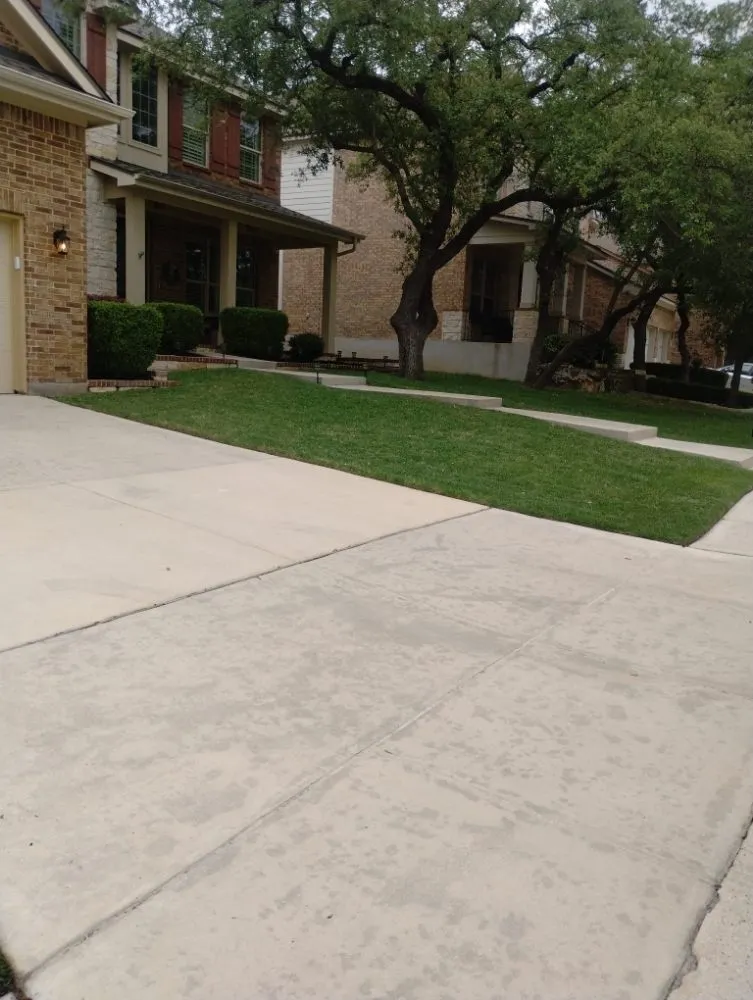 Local yard cleanup service in San Antonio, TX by Jay's Tree & Lawn Service