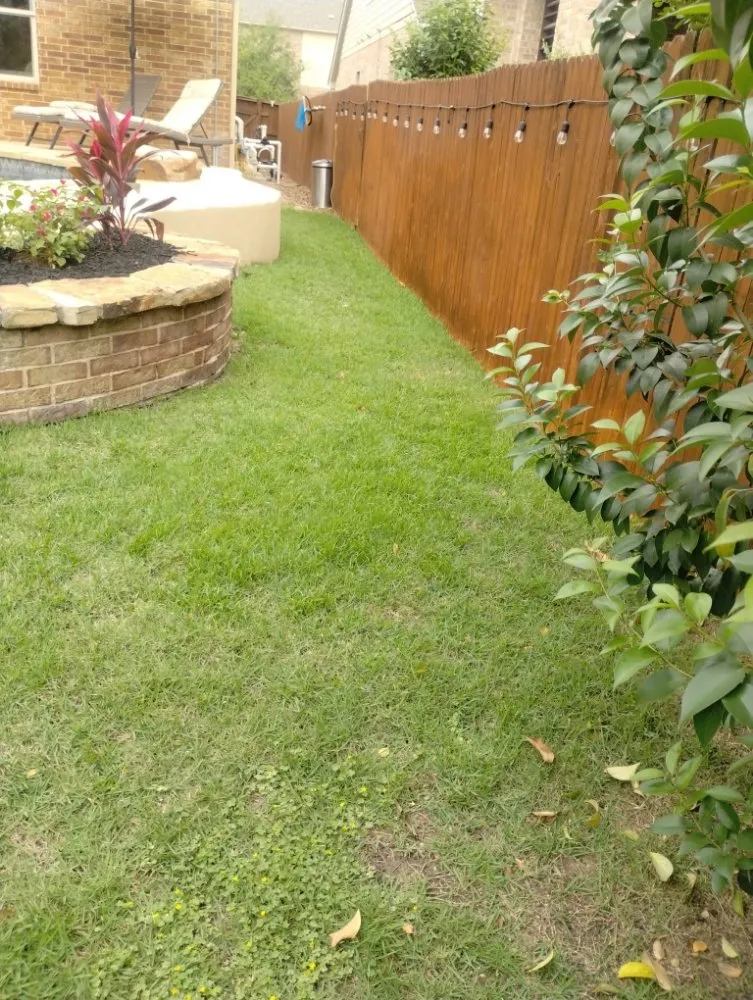 Professional landscaping services experts serving San Antonio, TX - Jay's Tree & Lawn Service