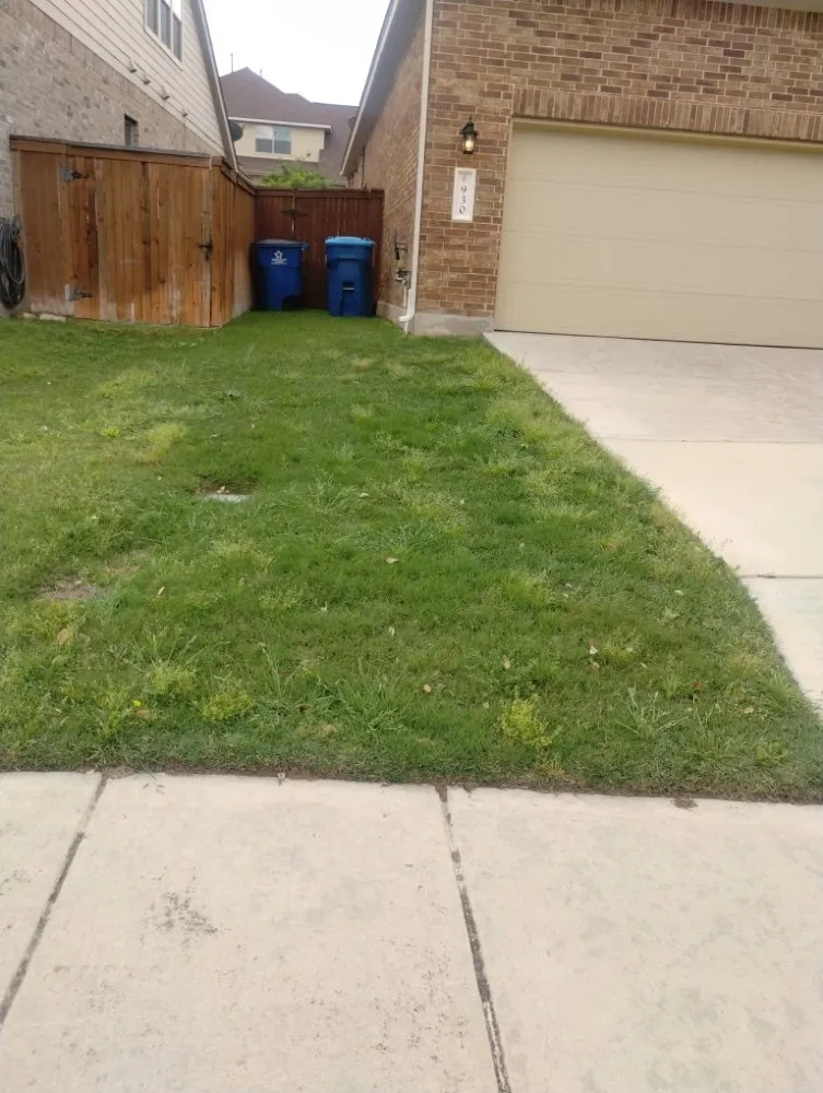 Trusted residential landscaping near you across San Antonio, TX - Jay's Tree & Lawn Service