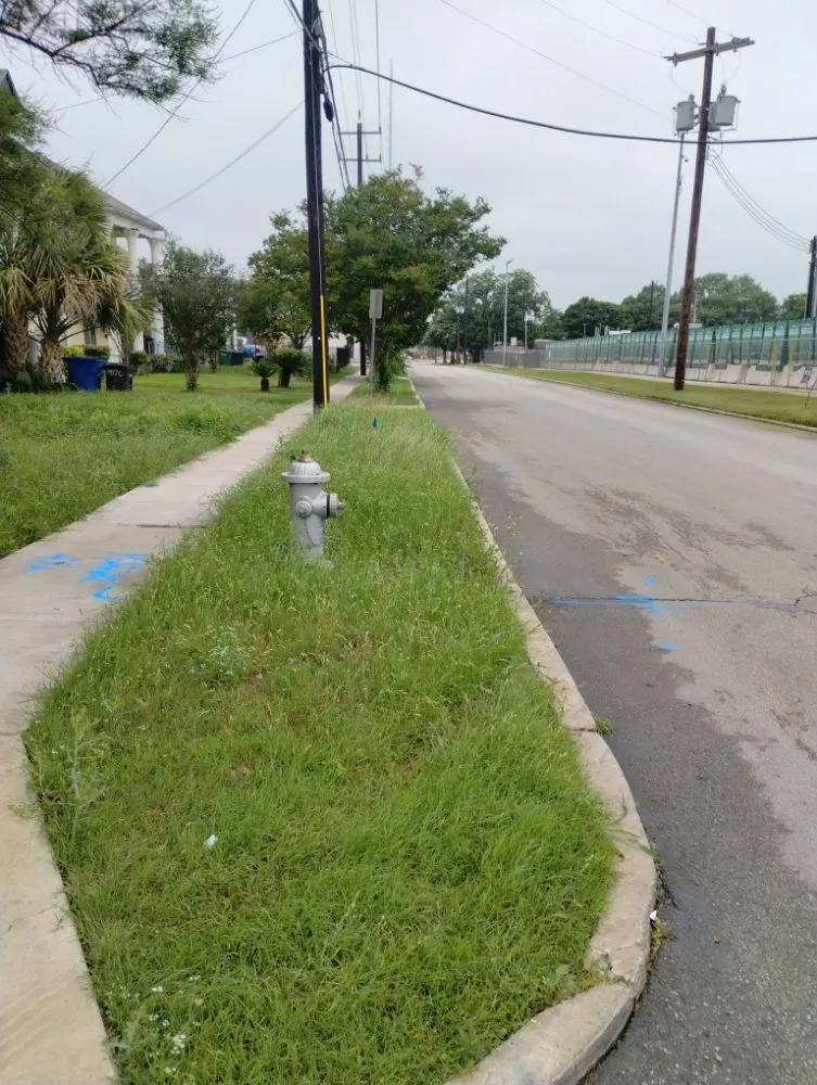 Professional landscape installation with custom design in San Antonio, TX by Jay's Tree & Lawn Service