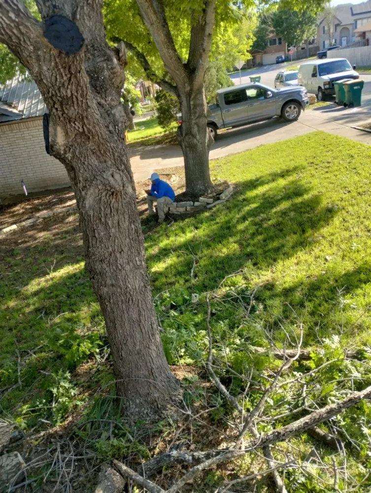 Reliable lawn care service for residential properties across San Antonio, TX - Jay's Tree & Lawn Service