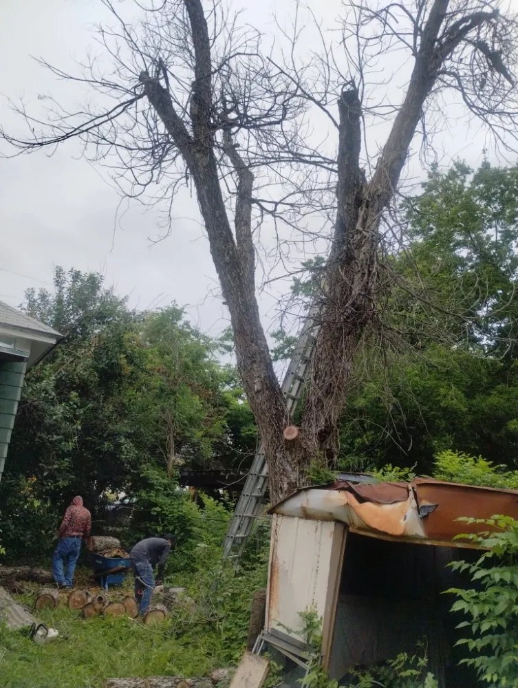 Affordable outdoor landscaping in San Antonio, TX by Jay's Tree & Lawn Service