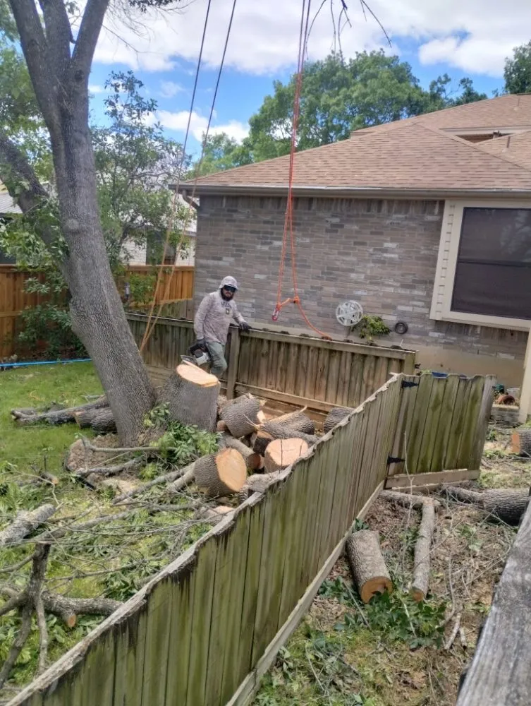 Reliable landscape design in San Antonio, TX by Jay's Tree & Lawn Service