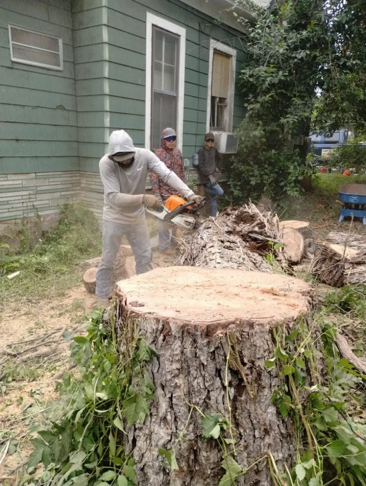 Top-rated landscaping services with custom design across San Antonio, TX - Jay's Tree & Lawn Service