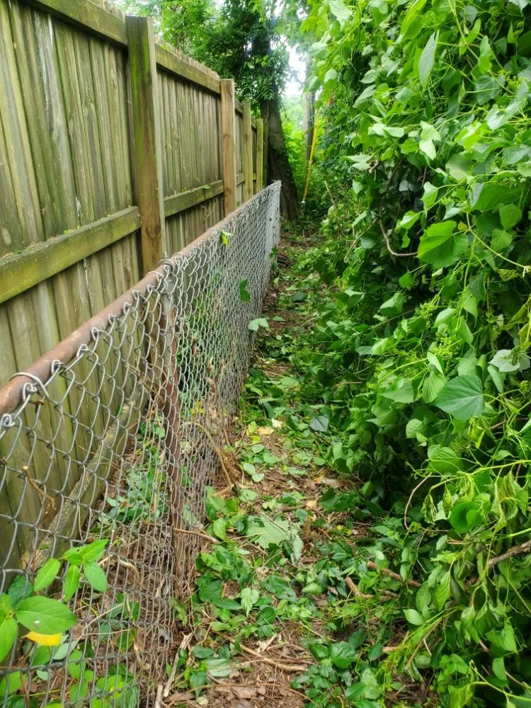 Expert landscaping services in St. Louis, MO by Jays Tree Service