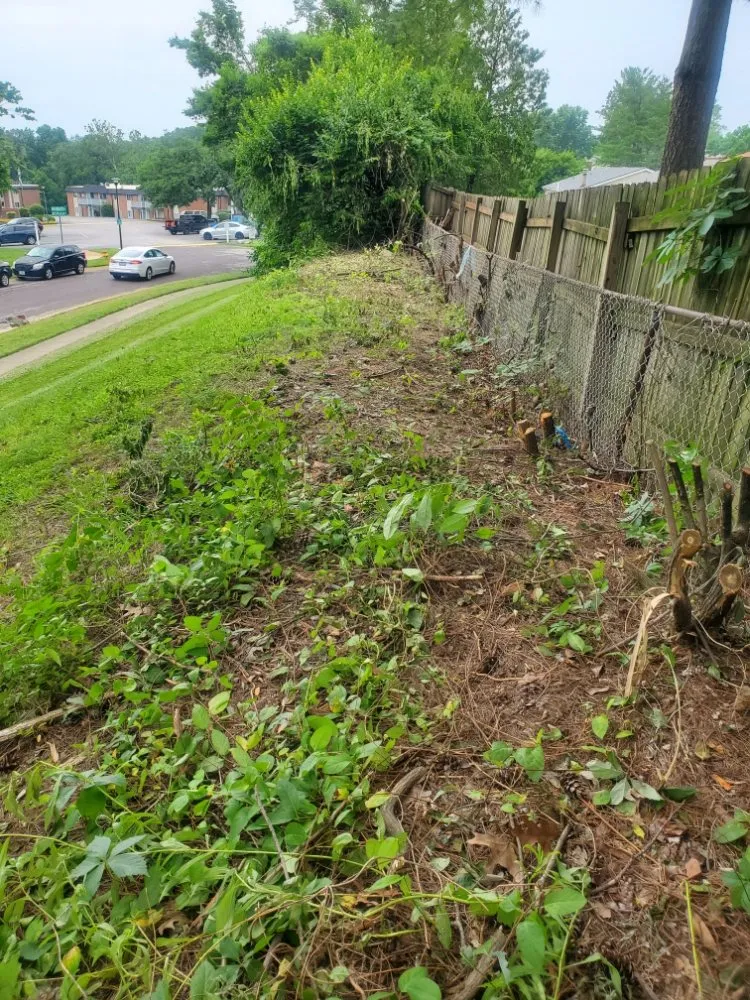 Trusted landscape design for beautiful yards in St. Louis, MO by Jays Tree Service