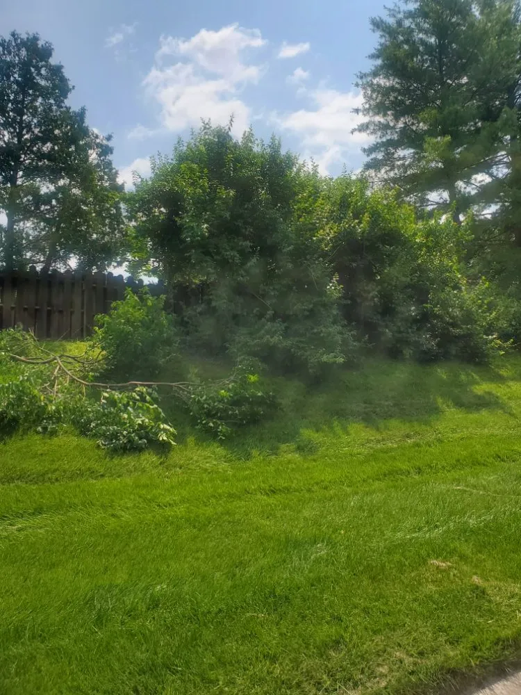 Expert lawn care service for outdoor upgrades in St. Louis, MO by Jays Tree Service
