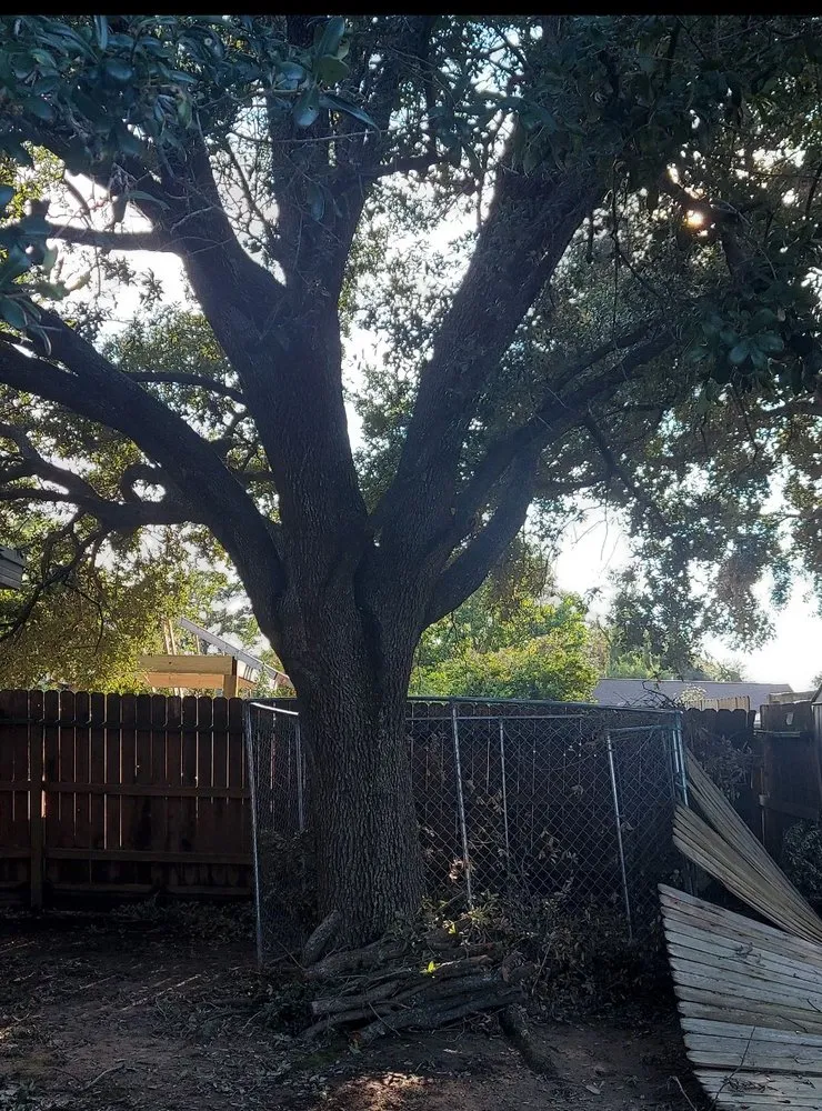 Custom landscaping services near you across Cypress, TX - JaySal Landscaping