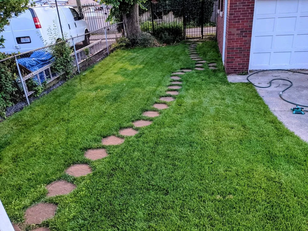 Professional yard cleanup service in Chicago, IL - Jayscapes Landscaping Service